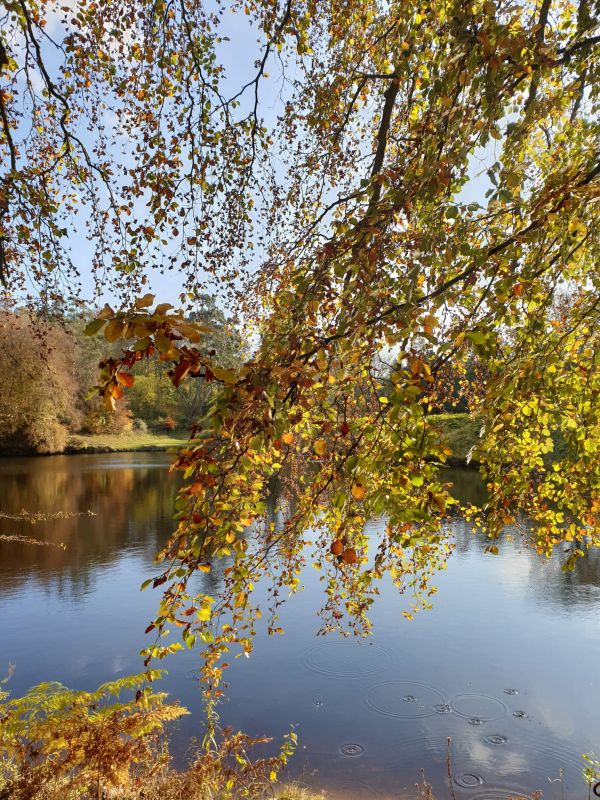 Ingleborough trail lake